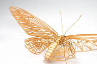 Côn trùng… tre ảnh 1 Côn trùng… tre ảnh 1