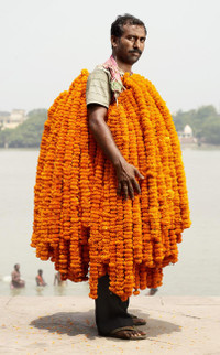 Những người đàn ông bán hoa ở Ấn Độ ảnh 1