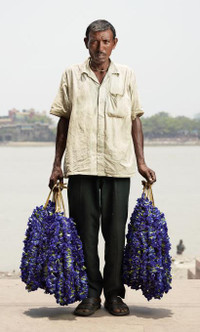 Những người đàn ông bán hoa ở Ấn Độ ảnh 4