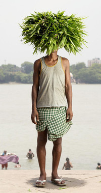 Những người đàn ông bán hoa ở Ấn Độ ảnh 8