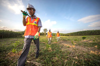 Triển vọng khôi phục rừng ở Việt Nam ảnh 3