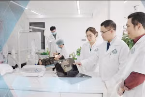 ĐHQGHN triển khai thí điểm chương trình Giáo sư thỉnh giảng.