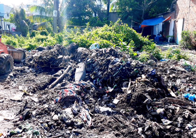 Xanh hóa điểm đen ô nhiễm ảnh 2