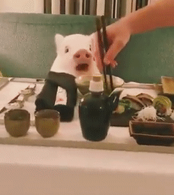 Số hưởng Số hưởng