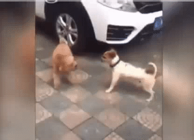 Đang đánh nhau mà ông nào lại mở nhạc.