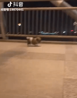 Đi dạo cũng phải phong cách Đi dạo cũng phải phong cách