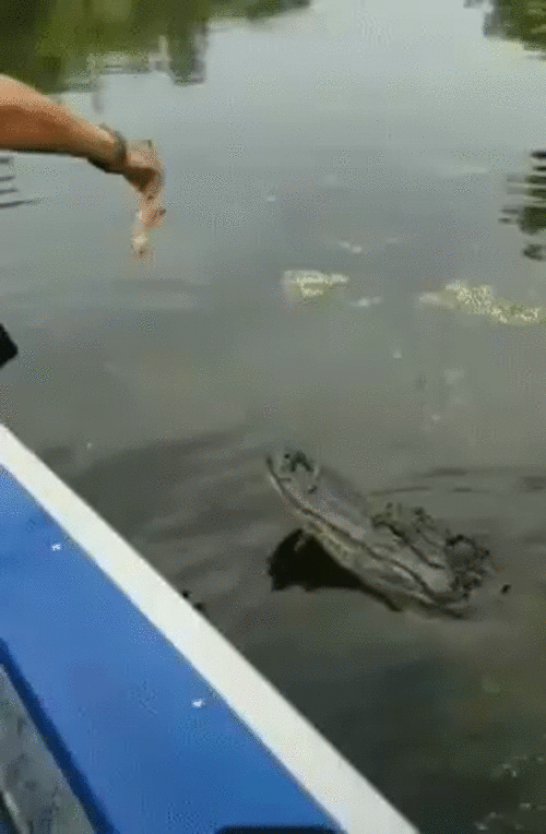 Việc nhẹ lương cao.