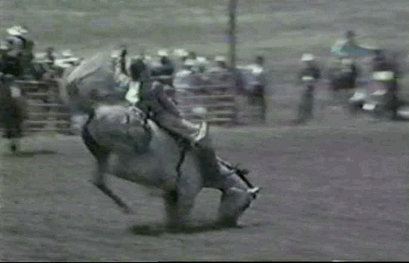 Không thể rời xa.