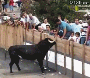 tro-dua-tai-hai tro-dua-tai-hai
