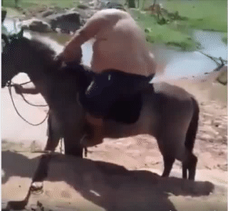 Khi em nó cưỡi ngựa...