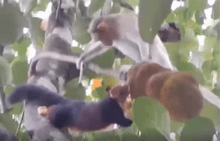 Đi chỗ khác ngay...