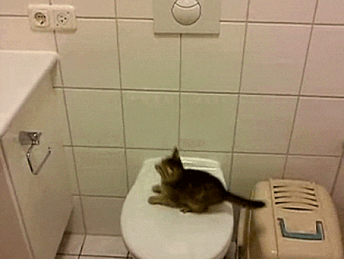 Chân ngắn khốn khổ thế đấy.