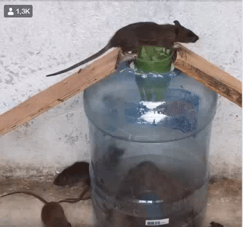 Vào nhanh không hết thóc.