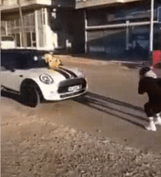 Nhìn thế mà không phải thế