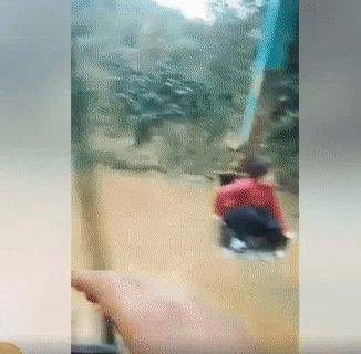 Nhận lời yêu thì cho vào.