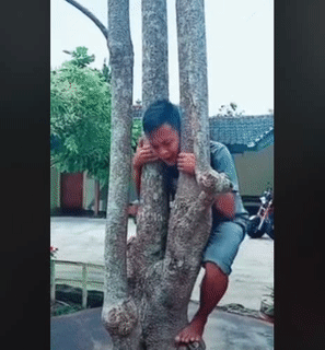 Lên hái quà 8/3 thôi mà.