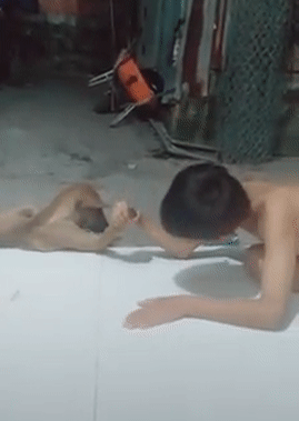 Cho nó ăn lắm vào, giờ khỏe hơn mình Cho nó ăn lắm vào, giờ khỏe hơn mình