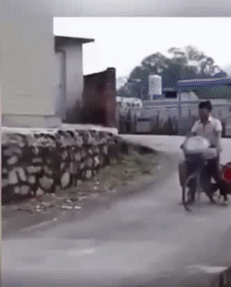 Anh đi đâu vậy. Anh đi đâu vậy.