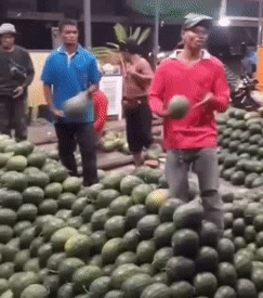 Anh đã nâng nó lên tầm nghệ thuật.