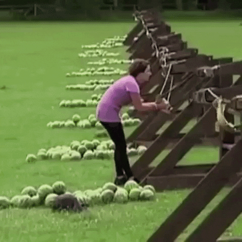 Cú bắn của chị quá chuẩn.