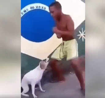 Mình hòa cùng điệu nhạc say mê Mình hòa cùng điệu nhạc say mê