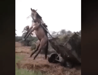 Tôi sợ độ cao cho tôi xuống đi Tôi sợ độ cao cho tôi xuống đi