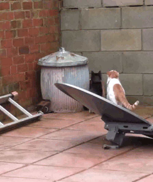 Tai nạn nghề nghiệp. 10-anh-hai-hot-nhat-facebook-trong-ngay-9