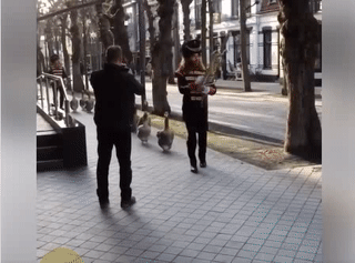 Duyệt binh nào. Duyệt binh nào.