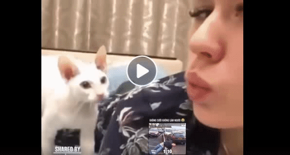 Ghét cái mặt. Ghét cái mặt.