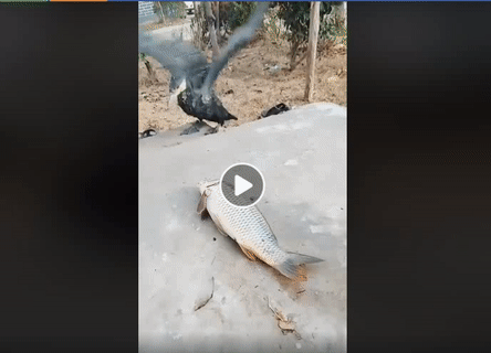 Không tin vào mắt mình. Không tin vào mắt mình.