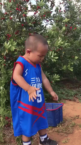 Trái gì thế Trái gì thế