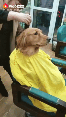 Tết đến rồi, làm đẹp thôi Tết đến rồi, làm đẹp thôi