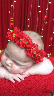 Đi chụp ảnh mà Đi chụp ảnh mà