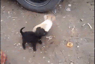 Câu chuyện lúc bàn giao Câu chuyện lúc bàn giao