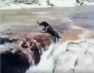 Khoảnh khắc tuyệt vời Khoảnh khắc tuyệt vời