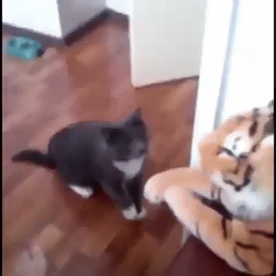 Nhờn với tớ à. Nhờn với tớ à.