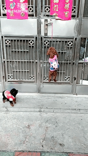 Khi bạn đi chơi về muộn. Khi bạn đi chơi về muộn.