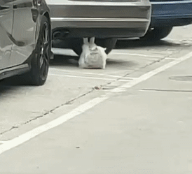 Tớ chỉ thích 6 múi thôi. Tớ chỉ thích 6 múi thôi.