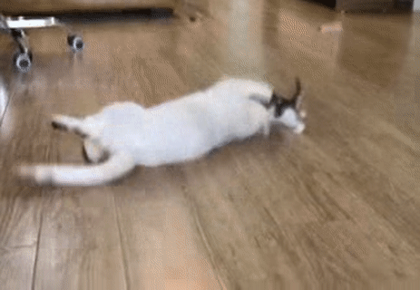 Đang tập đi mà gặp ông anh tăng động. Đang tập đi mà gặp ông anh tăng động.