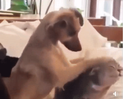 Anh làm cái gì vậy. Anh làm cái gì vậy.