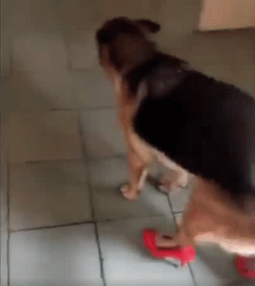 Tính đi thi mà thấy khó ghê.