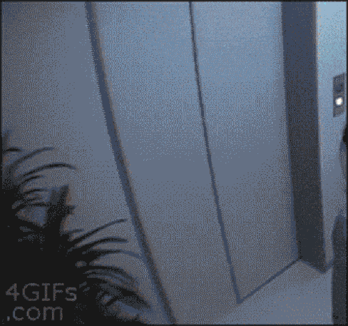 Không biết bản thân sẽ bị troll lúc nào.