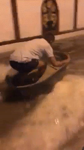 Hãy cứ vui trong bất kỳ tình huống nào!