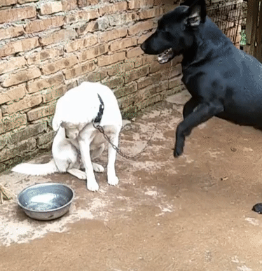 Khi đứa mình không thích lại buông lời tán tỉnh