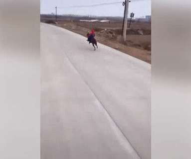 Spiderman phiên bản đời thực. Spiderman phiên bản đời thực.