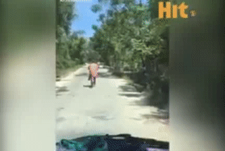 Say quên lối về. Say quên lối về.