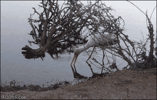 Chỉ là nhầm lẫn tý thôi 10-anh-hai-hot-nhat-facebook-trong-ngay-9