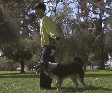 Mình cùng nhảy nào Mình cùng nhảy nào