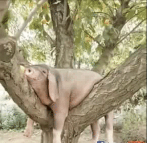 Đây là tôi khi nhớ em.