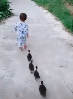 Tất cả theo chị.